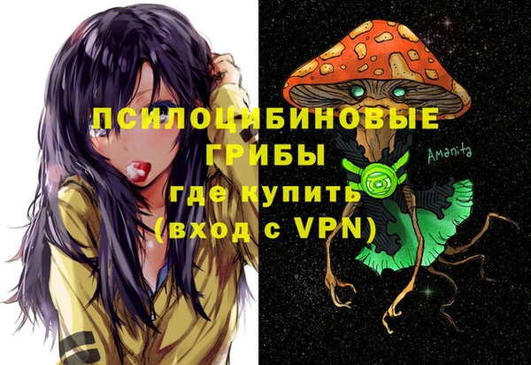 гидра Покровск